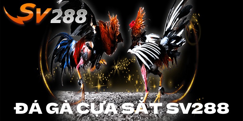 Đá gà cựa sắt