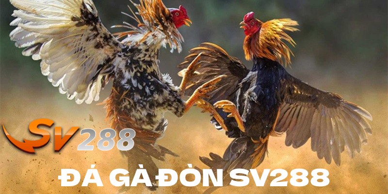 Đá gà đòn