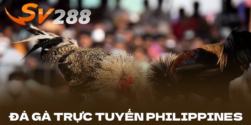 Đá gà trực tuyến tại Philippines