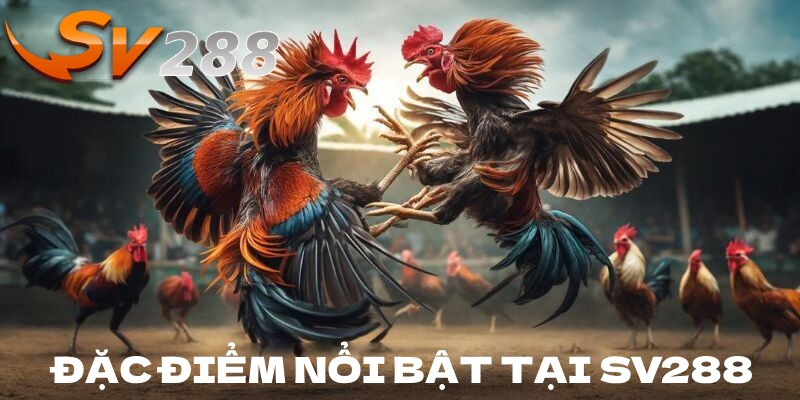 Đặc điểm nổi bật để đạt sự thành công của SV288