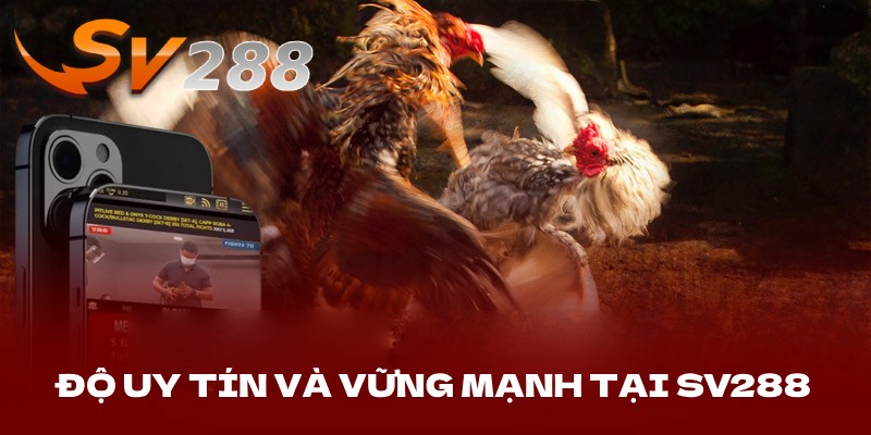 Độ uy tín vững mạnh của SV288