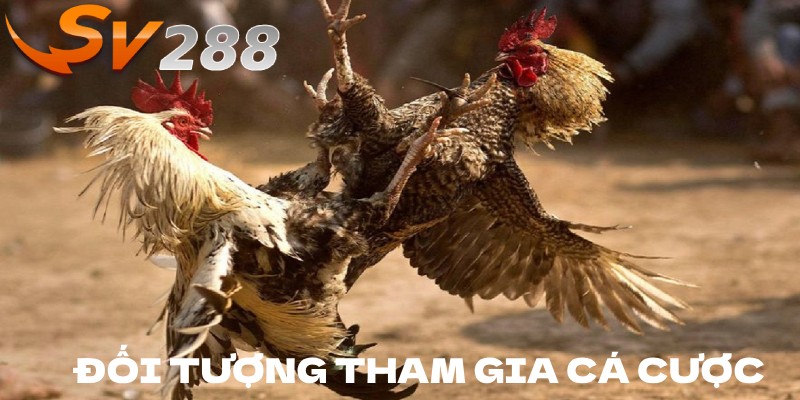 Đối tượng tham gia cá cược tại SV288