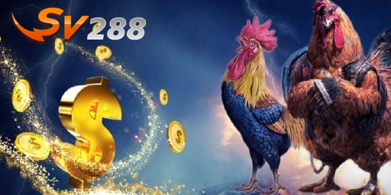 Giới thiệu chi tiết về SV288