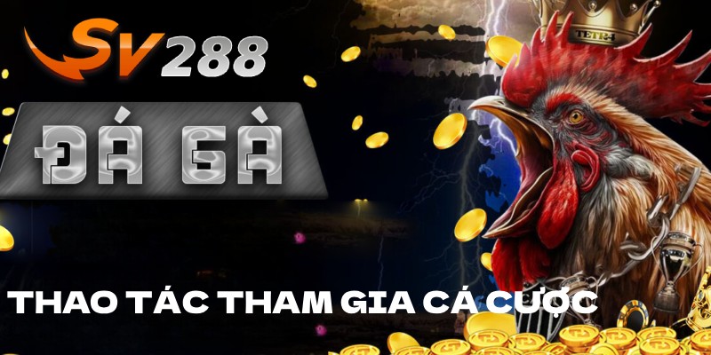 Hướng dẫn các thao tác tham gia cá cược cơ bản tại SV288