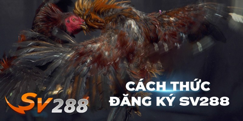Hướng dẫn đăng ký tài khoản SV288 với 4 bước đơn giản