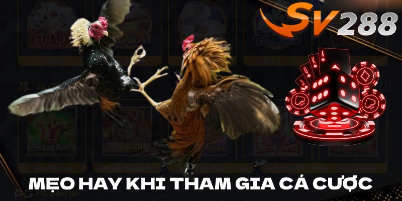 Mẹo hay khi tham gia cá cược tại SV288