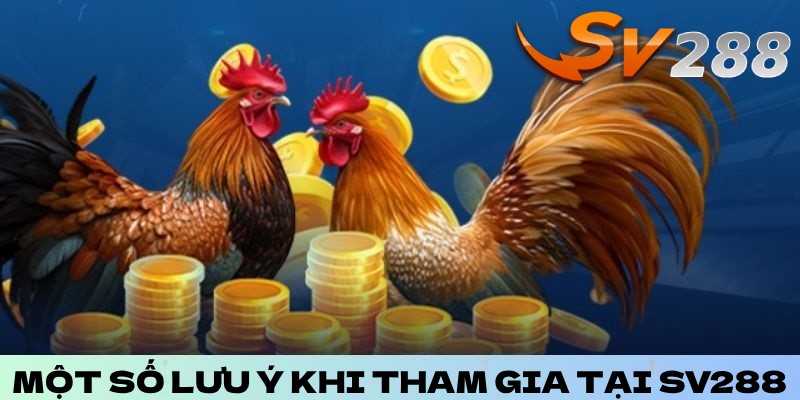 Một số lưu ý nên biết khi tham gia cá cược tại nhà cái SV288