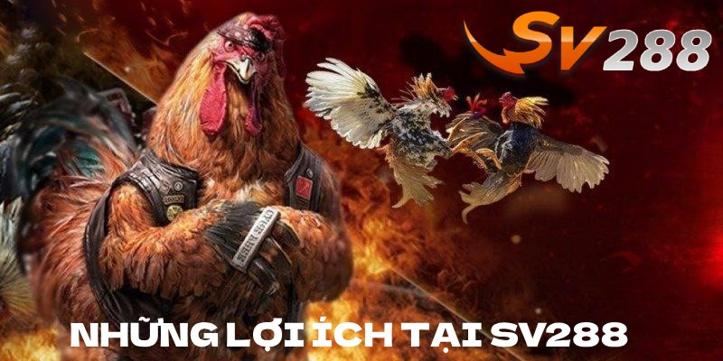Những lợi ích bạn nhận được khi đặt cược tại cổng game SV288