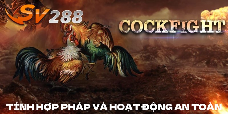 Tính hợp pháp và giấy phép hoạt động