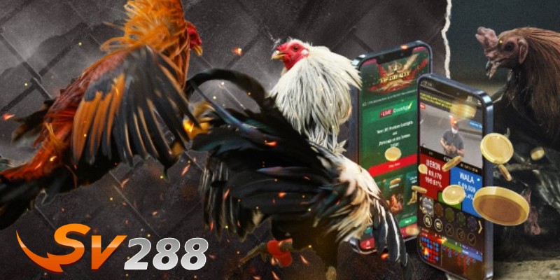 Tổng quan về nhà cái SV288