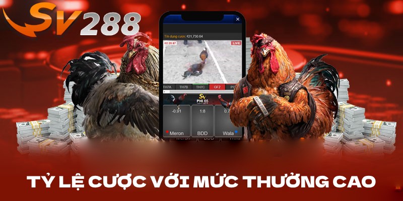 Tỷ lệ cược với mức thưởng cao